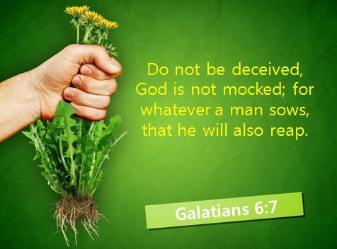 Gal 6 7